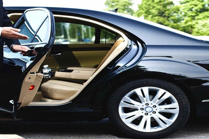 International Airport VIP Service(Expedited Arrival)& Free Transfer - No waiting - Meeting your agent after the flight