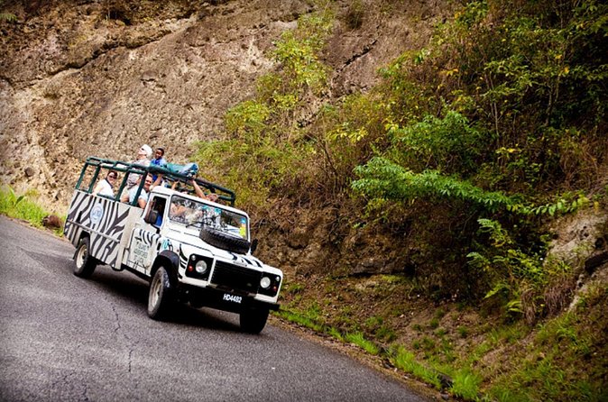 Jeep & Zip Safari St. Lucia From Castries - Errand Falls and a refreshing natural pool