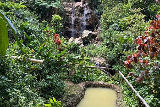 LUNCH INCLUSIVE Mud Baths, Waterfall & Tet Paul Nature Trail - Getting muddy at Sulphur Springs