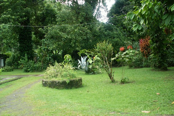 Magical Soufriere: A Tour of St Lucia - Diamond Falls and its botanical setting