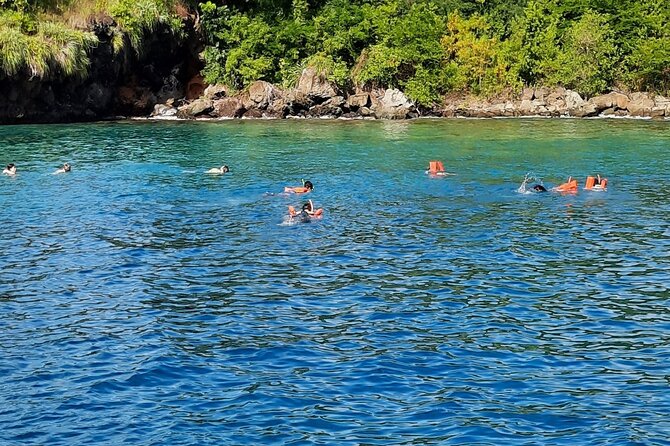 Mud bath and Waterfall with Snorkeling at Sugar beach - Is $160 per person good value?