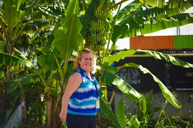 Mudbaths, Waterfall & Botanical Gardens Tour - All Inclusive - Diamond Falls Botanical Gardens in 45 minutes