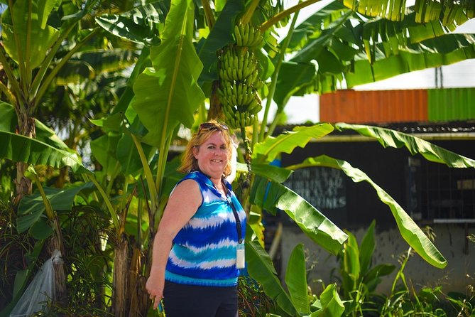 Mudbaths, Waterfall & Botanical Gardens Tour - All Inclusive - The guide can shape the whole day