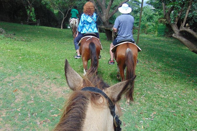 Nature & Historical Horseback Riding Tours St. Lucia - Pickup from the port or your accommodation