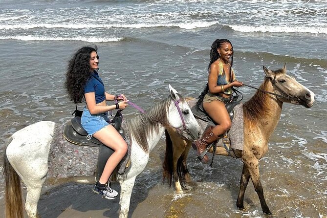 Nature & Historical Horseback Riding Tours St. Lucia - What the horses and guides add to the ride