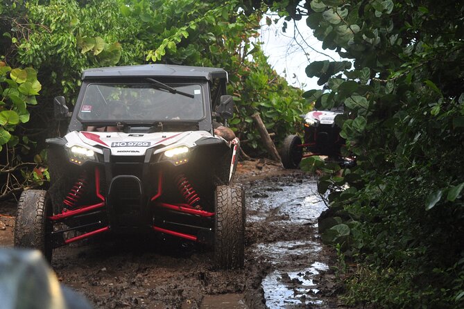 Northern Sights - Buggy in the North - What this northern St Lucia ride is really like