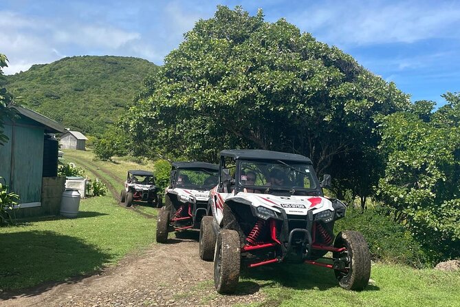 Northern Sights - Buggy in the North - The buggy choice: two seats or four