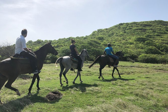 Private Advanced Horseback Beach Ride with Sandy Hoofs St. Lucia - Why this ride feels different from a standard beach outing