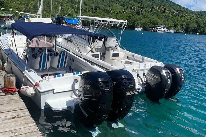 Private All Inclusive Speedboat to Soufriere with Lunch, Mud Bath & Waterfall - Sulphur Springs: mud, heat, and a volcanic setting