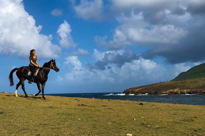 Private Beach Horseback Ride with Sandy Hoofs St. Lucia - Following the forest trails to the beach