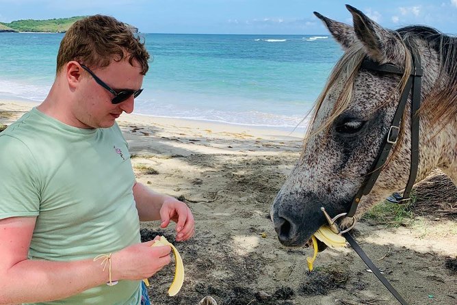 Private Beach Horseback Ride with Sandy Hoofs St. Lucia - The ocean ride, if conditions allow