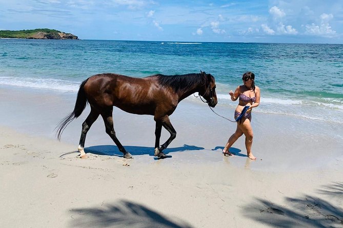 Private Beach Horseback Ride with Sandy Hoofs St. Lucia - What the $99 price gets you