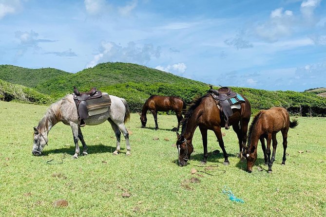 Private Beach Horseback Ride with Sandy Hoofs St. Lucia - A few practical details that matter