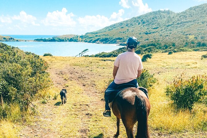 Private Beach Picnic Horseback Ride with Sandy Hoofs St. Lucia - What the two and a half hours feel like