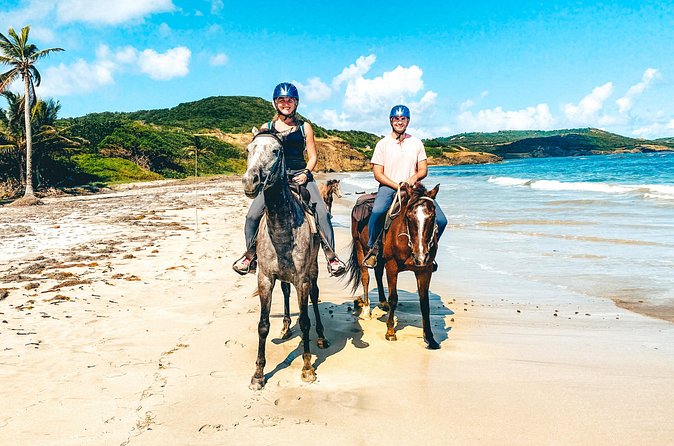 Private Beach Picnic Horseback Ride with Sandy Hoofs St. Lucia - Price and value at $129 per person