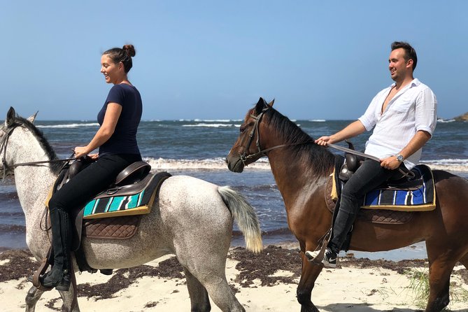 Private Beach Picnic Horseback Ride with Sandy Hoofs St. Lucia - Starting at Sandy Hoofs in Beausejour