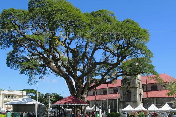 Private Castries or Shopping Tour/Transfers - A private ride built around your own plans