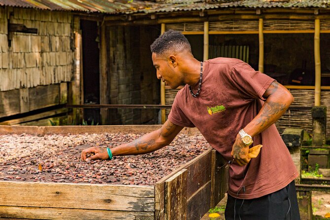 Private Chocolate Making Class - From organic cacao beans to chocolate