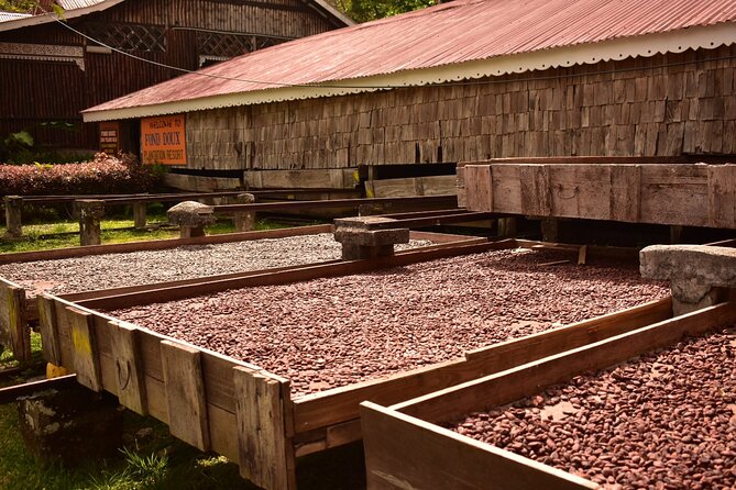 Private Chocolate Making Class - Is $50 a good value?