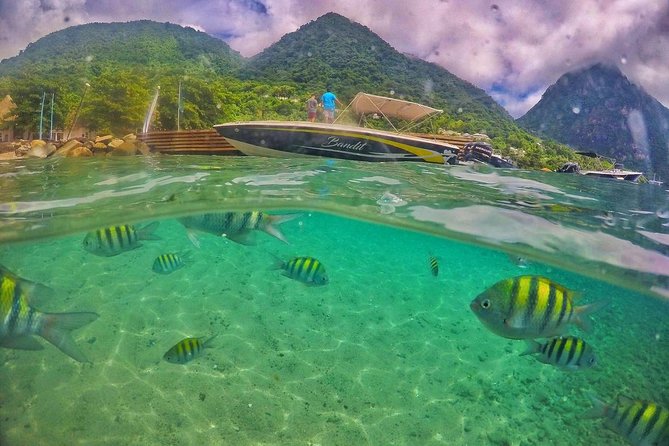 Private Custom Coastal Cruise St. Lucia Half Day - What the private format is really worth