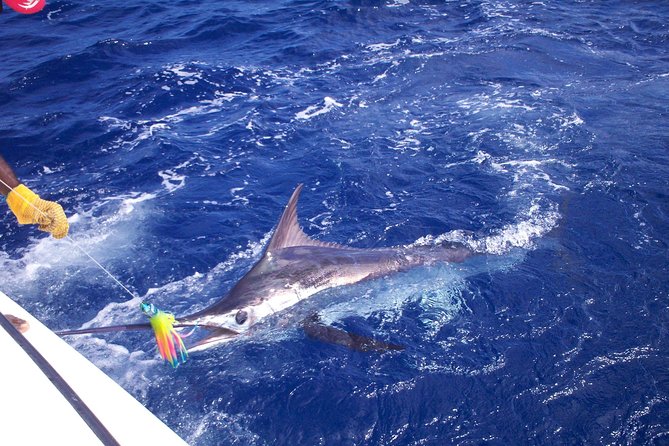 Private Fishing in St Lucia Charters - Key details before you book