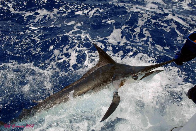 Private Fishing in St Lucia Charters - What you might catch, and what you might not