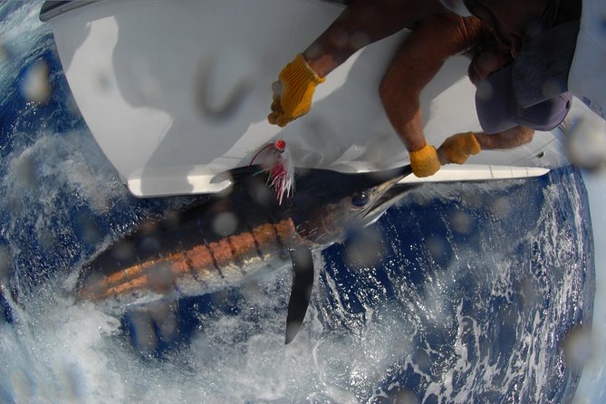 Private Fishing in St Lucia Charters - Snacks, drinks, and a few practical comforts