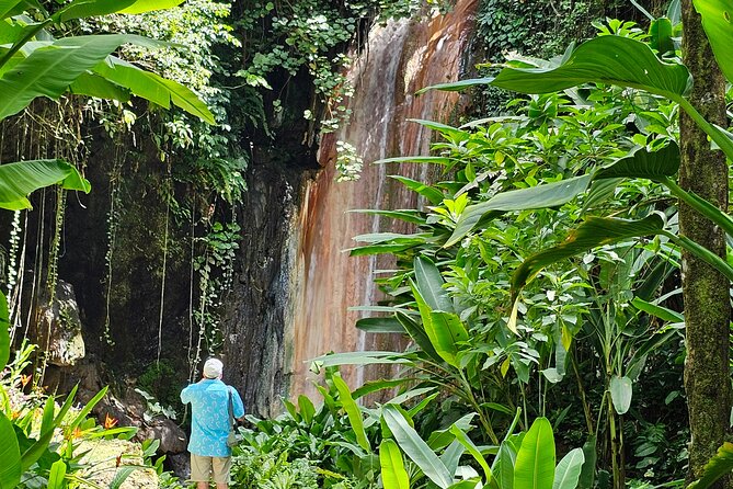 Private Island Tour St. Lucia - Who should choose this tour