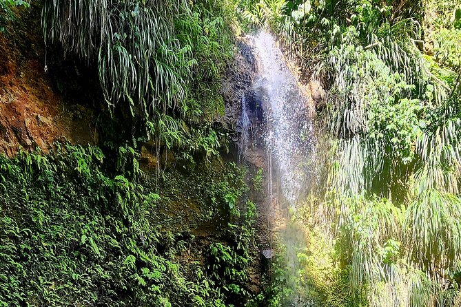 Private La Soufriere Drive-In Volcano Minibus Tour St Lucia - What the private minibus changes