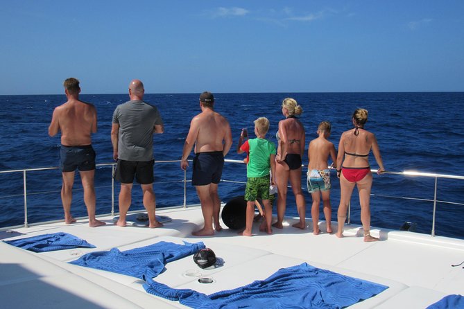 Private Luxury Catamaran Cruise in St. Lucia - Food, rum punch, and the practical meaning of included refreshments
