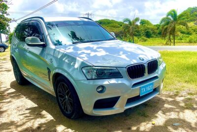 Private Luxury Round-Trip Transfer: Hewanorra International Airport