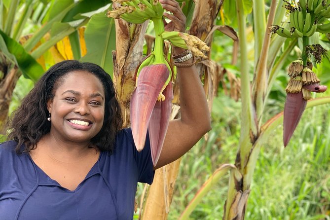 Private Soufriere Experience Tour - Sulphur Springs brings the most unusual stop