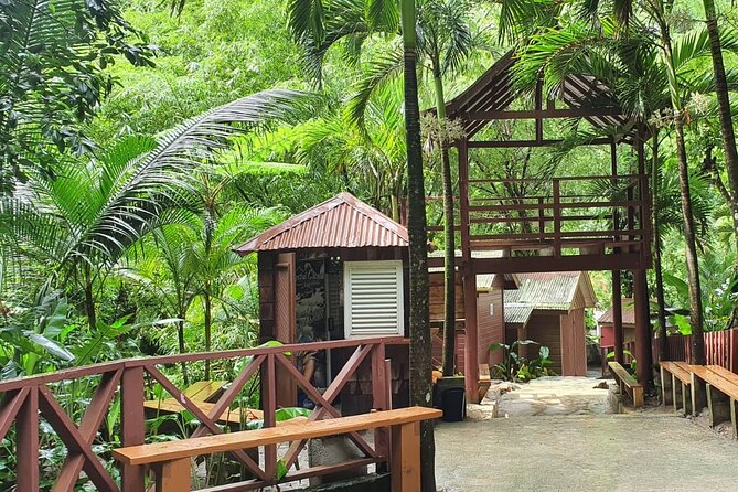 Private Tour of Sulphur Spring and Toraile Waterfall in Soufriere - Should you book the Sulphur Springs and Toraille Waterfall tour?