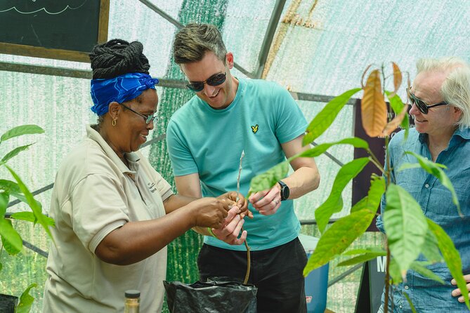 Project Chocolat Tree to Bar Tour at Hotel Chocolat Saint Lucia - Is $124 a fair price?
