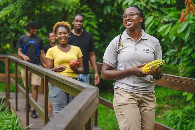 Project Chocolat Tree to Bar Tour at Hotel Chocolat Saint Lucia - Who will enjoy this most?