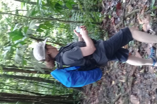 Rain forest and Bird watching - Seeing bananas, rum, and local shopping