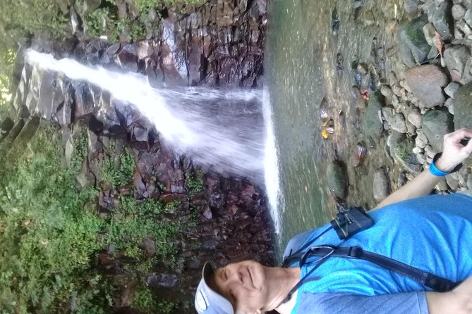 Rain forest and Bird watching - Pickup reliability deserves attention