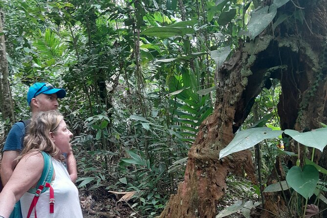 Rain forest and Bird watching - Who will get the most from this outing?