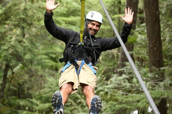 Rainforest Canopy Adventure from Vieux Fort or North Island, St Lucia - Quick take: what matters most