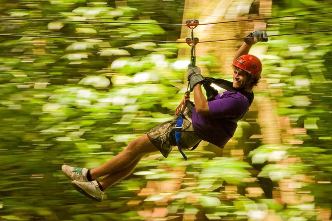 Rainforest Canopy Adventure from Vieux Fort or North Island, St Lucia - Booking tips that can save trouble