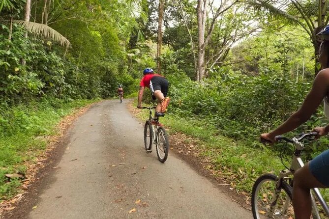 Rainforest Cycling Adventure in St. Lucia - From Rodney Bay to St. Lucia’s East Coast
