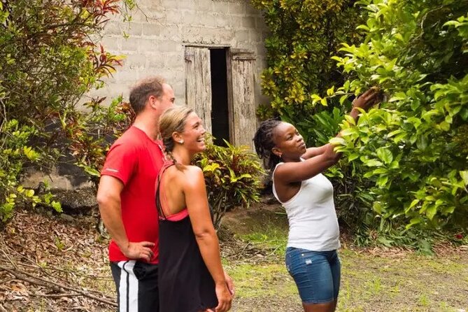 Rainforest Cycling Adventure in St. Lucia - The Country Roads Bring the Hard Work