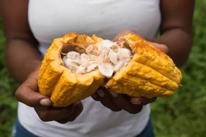 Rainforest Cycling Adventure in St. Lucia - Reaching Sault Falls, Also Called Errard Falls
