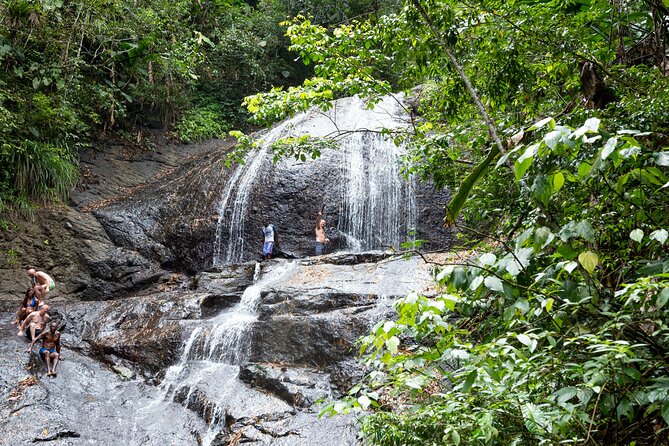 Rainforest Hike and Waterfall Safari - Key points to know