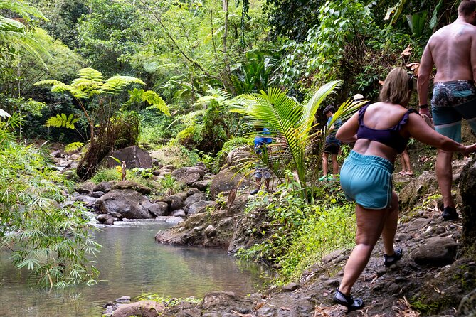 Rainforest Hike and Waterfall Safari - Riding west from Gros Islet