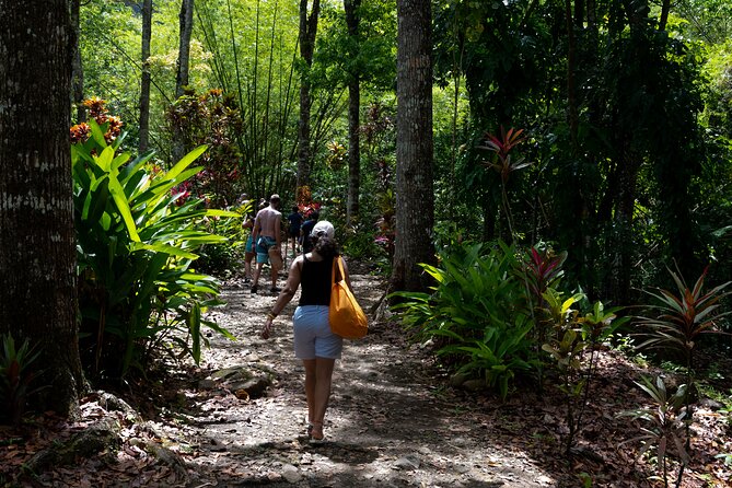 Rainforest Hike and Waterfall Safari - The guides make the difference