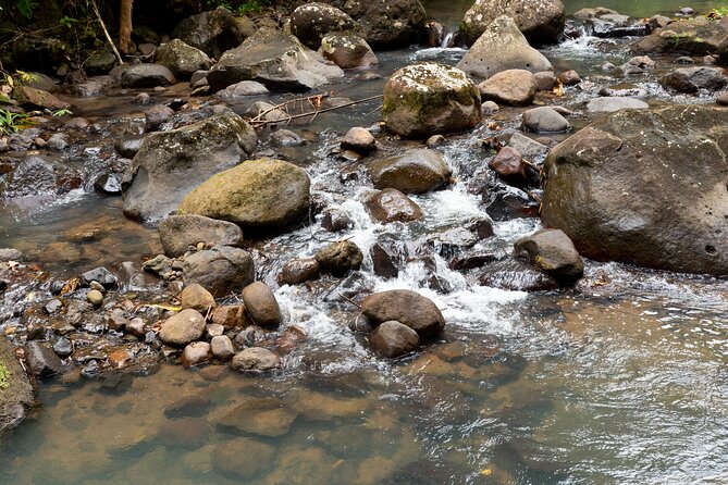 Rainforest Hike and Waterfall Safari - What the $66.67 price covers
