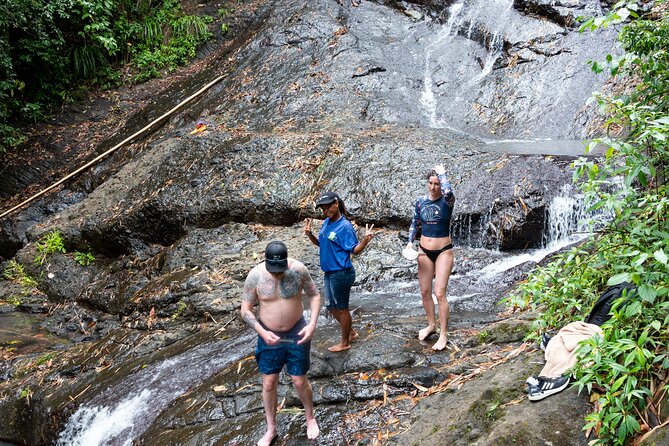 Rainforest Hike and Waterfall Safari - Should you book the rainforest safari?