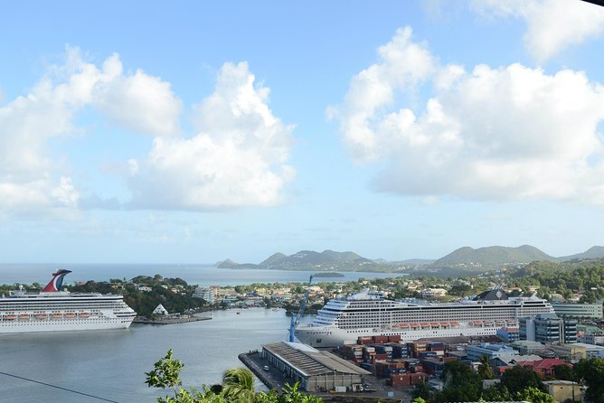 Rainforest Hike & Waterfall Safari St. Lucia From Castries - Fruit, island stories, and simple local flavor