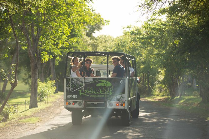 Rainforest Hike & Waterfall Safari St. Lucia From Castries - Is $100 a fair price?